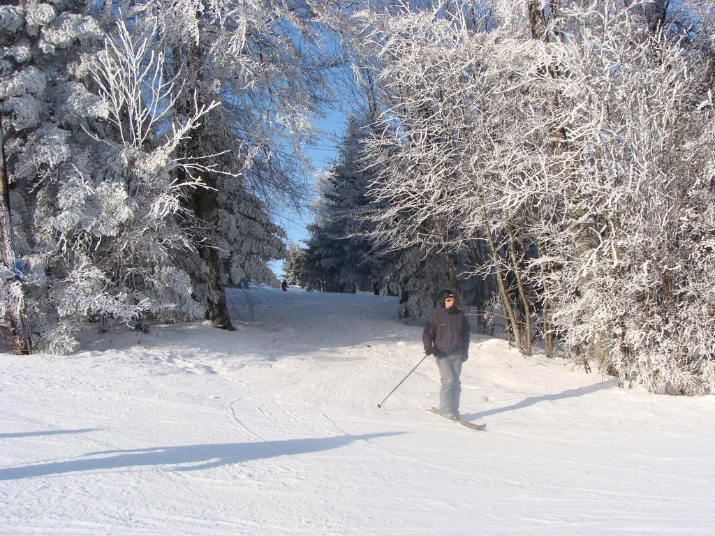 Gite Plein Sud Metzeral Esterno foto