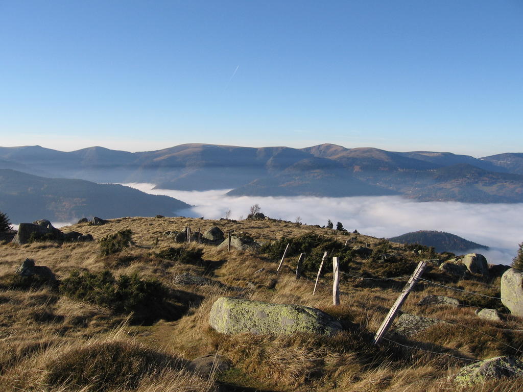 Gite Plein Sud Metzeral Esterno foto