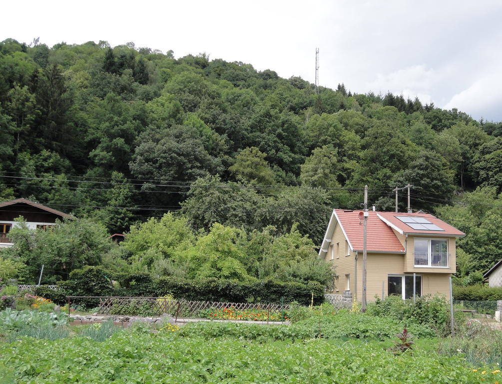 Gite Plein Sud Metzeral Esterno foto
